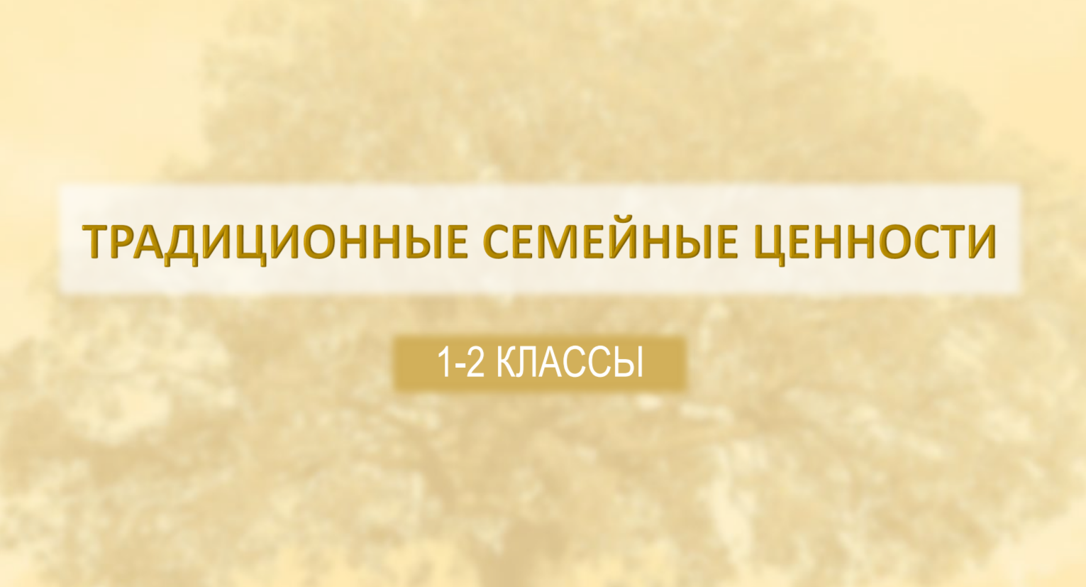 Презентация